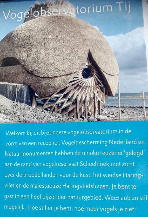 Klepperstee Esdoorn 3 Vila Ouddorp Exterior foto